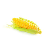 Corn, 48 CT