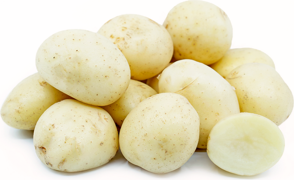 White Potatoes, Bagged, 10 LB