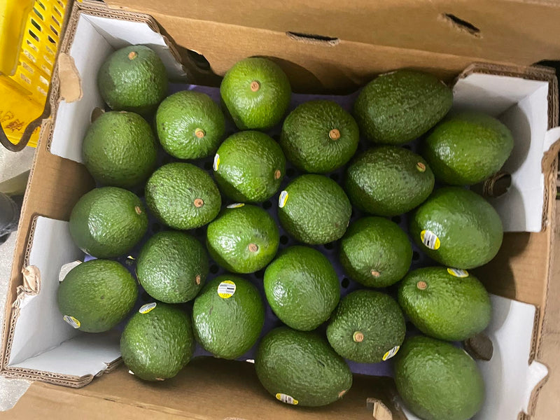 Avocado, Case (48Counts)7th