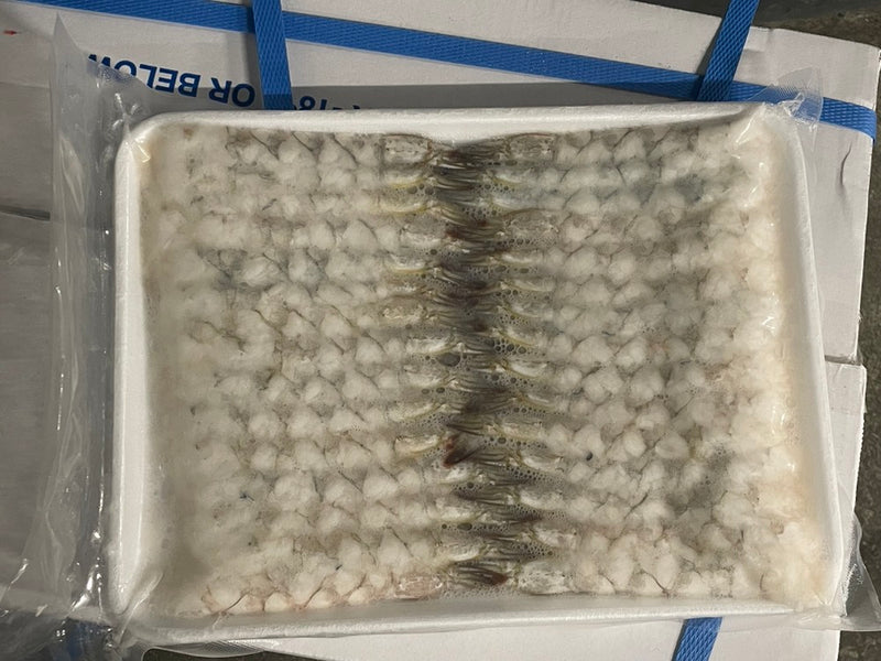 Ocean Gift Nobashi Shrimp (26/30), Case (900 PCS)