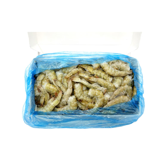 ODISEA IQF White Shrimp HLSO 31-35, 10 x 4LB