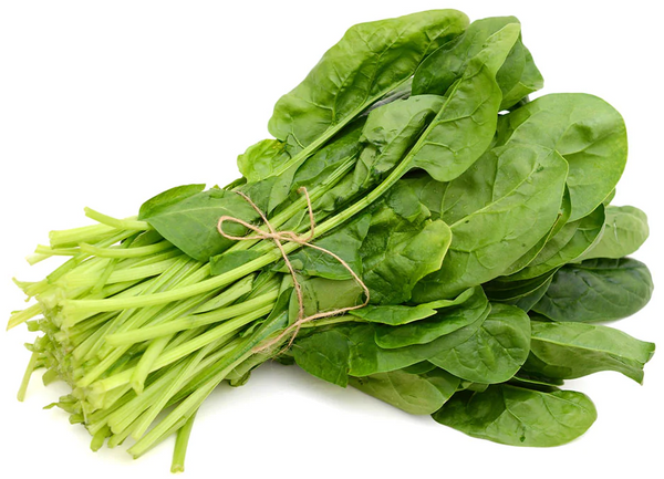 Spinach Headless bunch, Case (20 LBs)