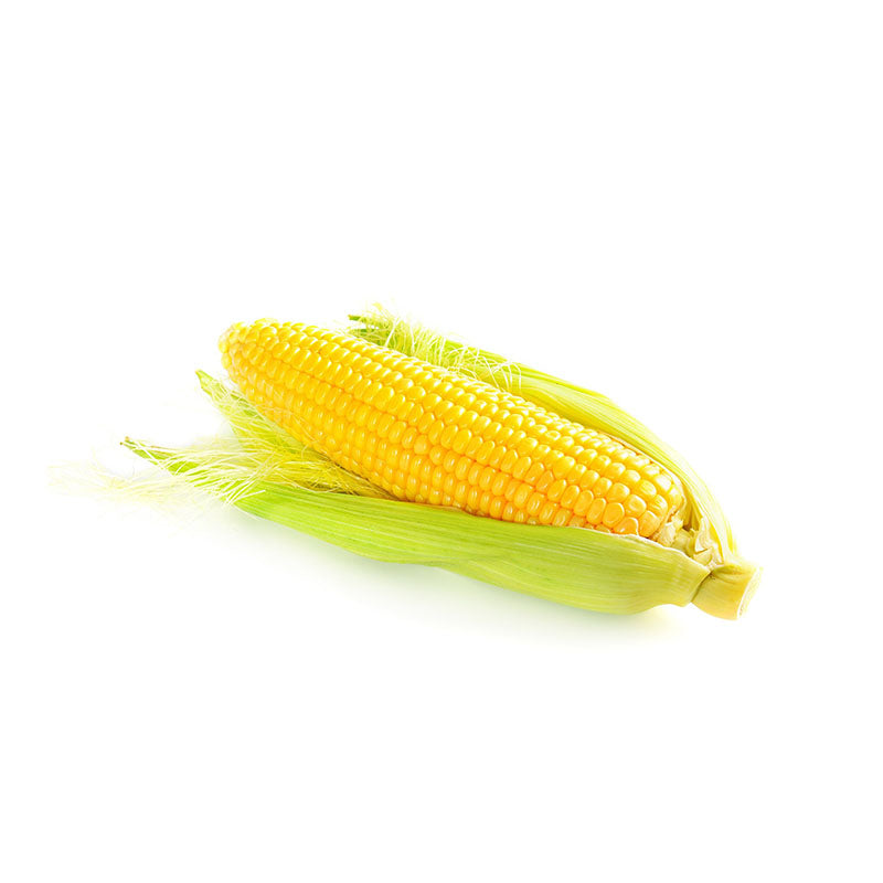Corn, 48 CT