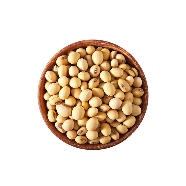 Raw Soy Beans, 5 LBs