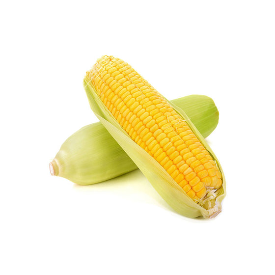 Corn, 48 CT