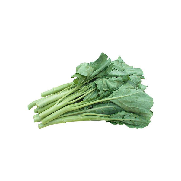 Chinese Broccoli / Gai Lan, 30 LBs