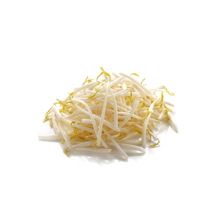 Bean Sprout, 5 LBs