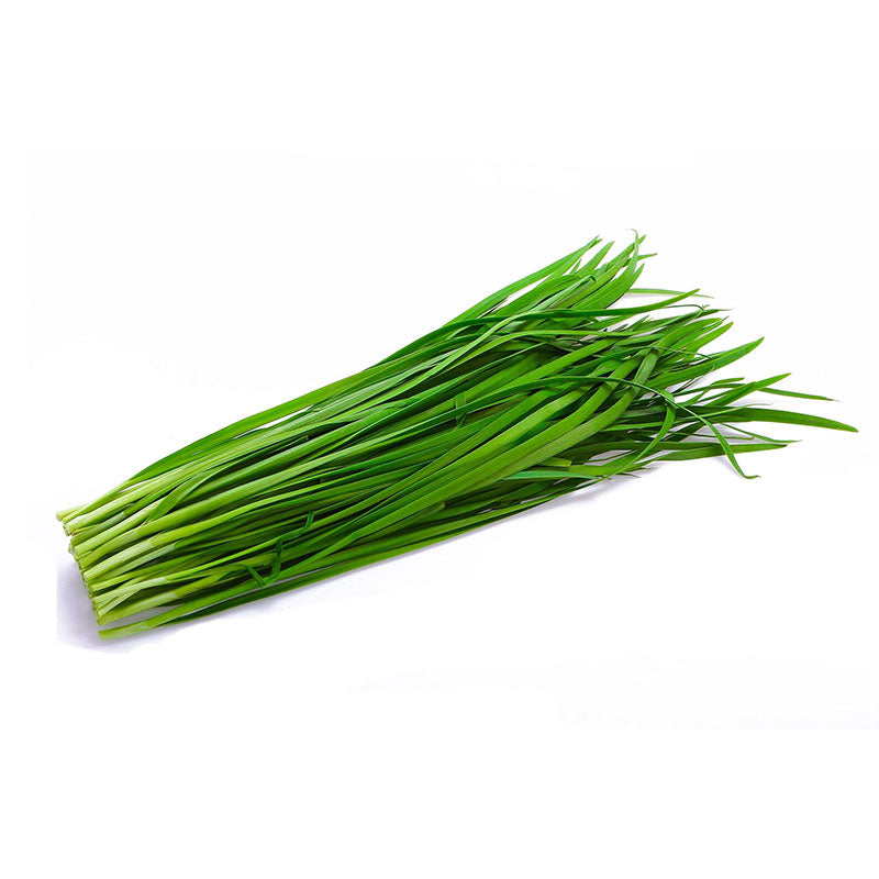 Chinese Chives, 25 LBs