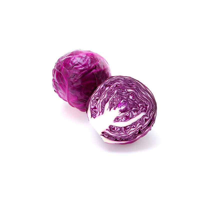 Red / Purple Cabbage, 10~12 CT