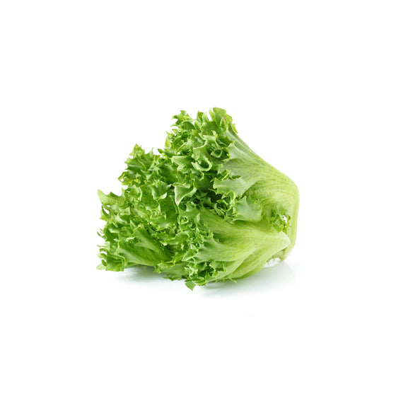 Green Leaf Lettuce, 24 CT