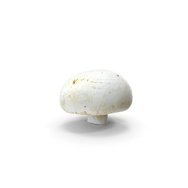 Button Mushroom, 5 LBs