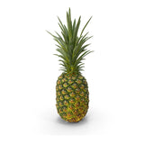 Pineapples, 5~6 CT