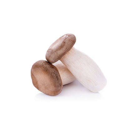 King Oyster Mushroom, 3 LBs