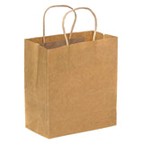 EcoMates EM-1373 Kraft Paper Bag with Twisted Handle, 200 CT